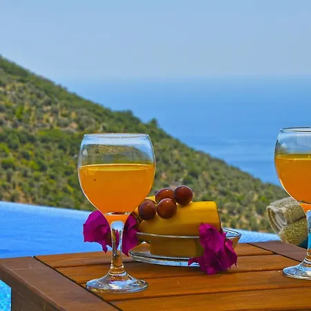 Voyage Vila Kalkan